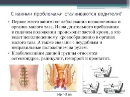 Водитель автобуса болит спина