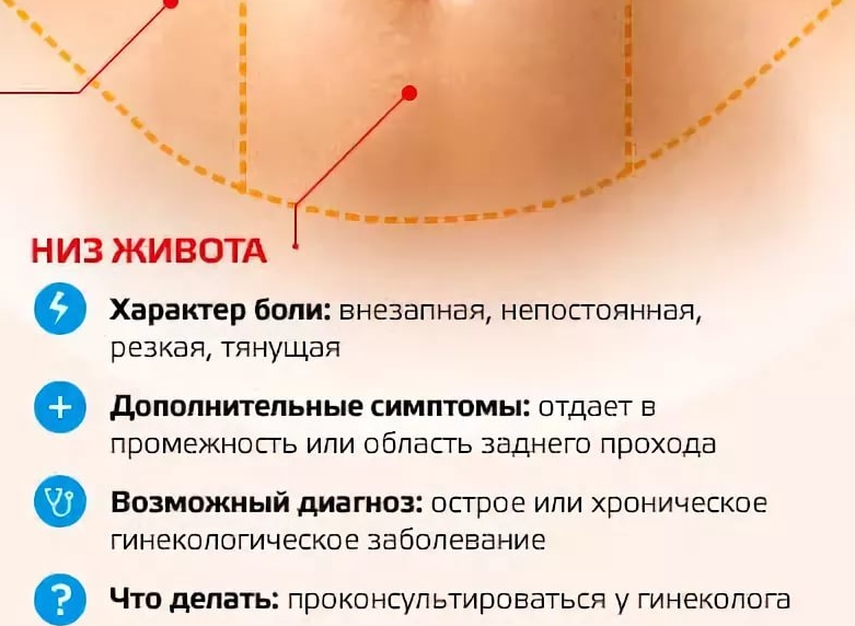 За сколько до месячных начинает болеть живот и спина