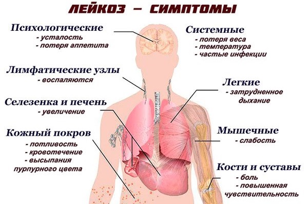 Боль внизу живота слева у женщин в паху. Причины и что делать